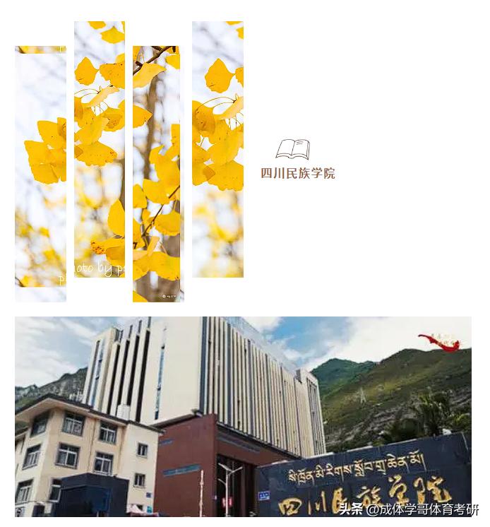 成体考研346,成都体育学院考研难度