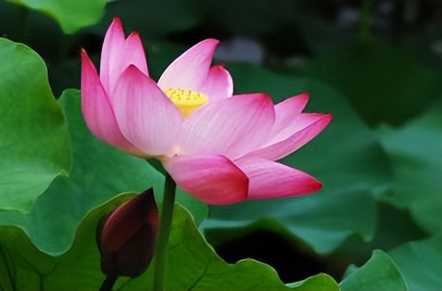 一个人的穷和富是不是命中注定的,一个人贫富差距对比图