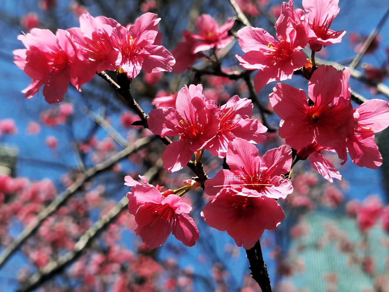 城市会客厅广州,广州城市会客厅
