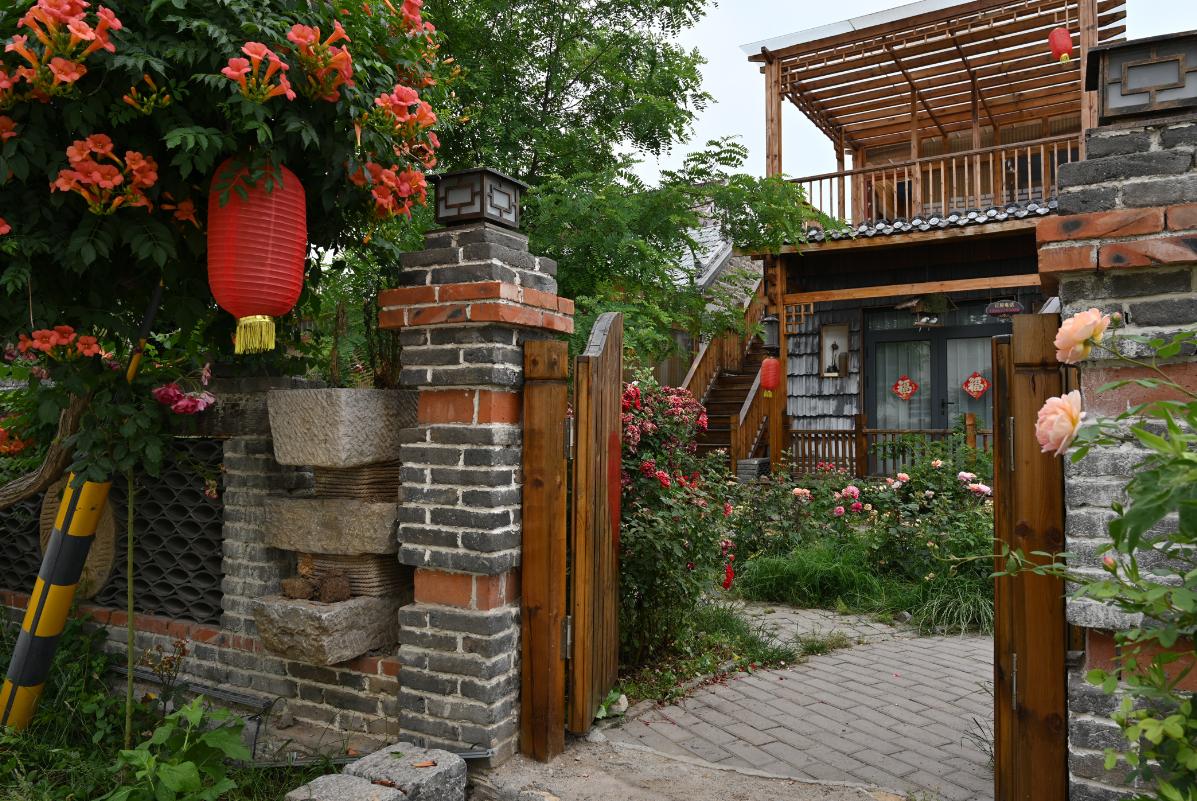 关于农村改革的最新政策,农村改革新政策2020年