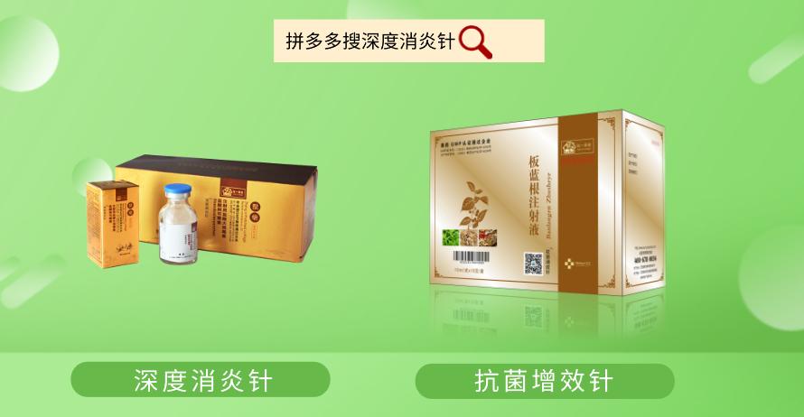 猪拉血的原因及治疗方法,猪拉血屎是什么病如何治疗