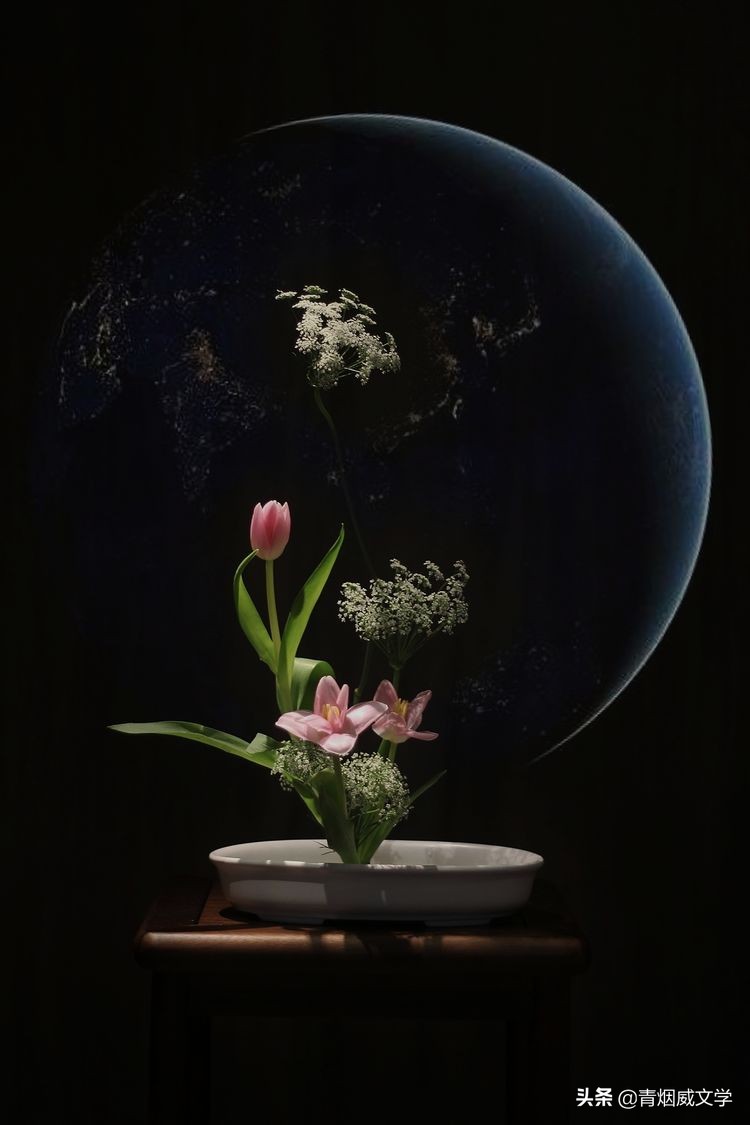 为艺术多一次曝光