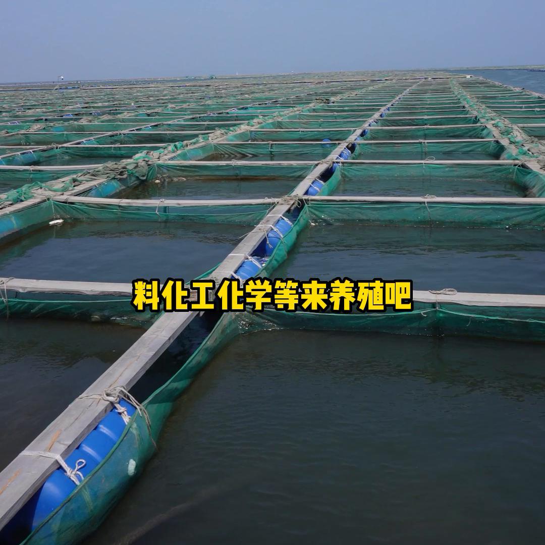 多少钱一根的海参比较好,4.40元一个海参好吗