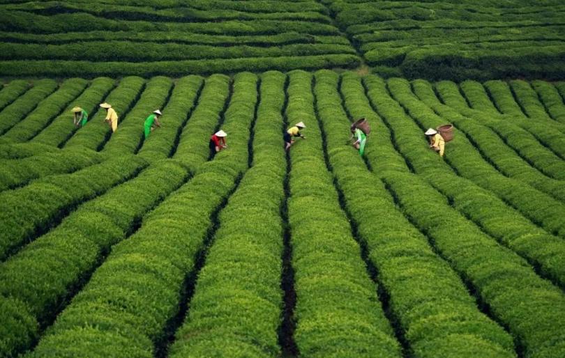 如何通过政策支持农业可持续发展,农业可持续性发展的理论与实践