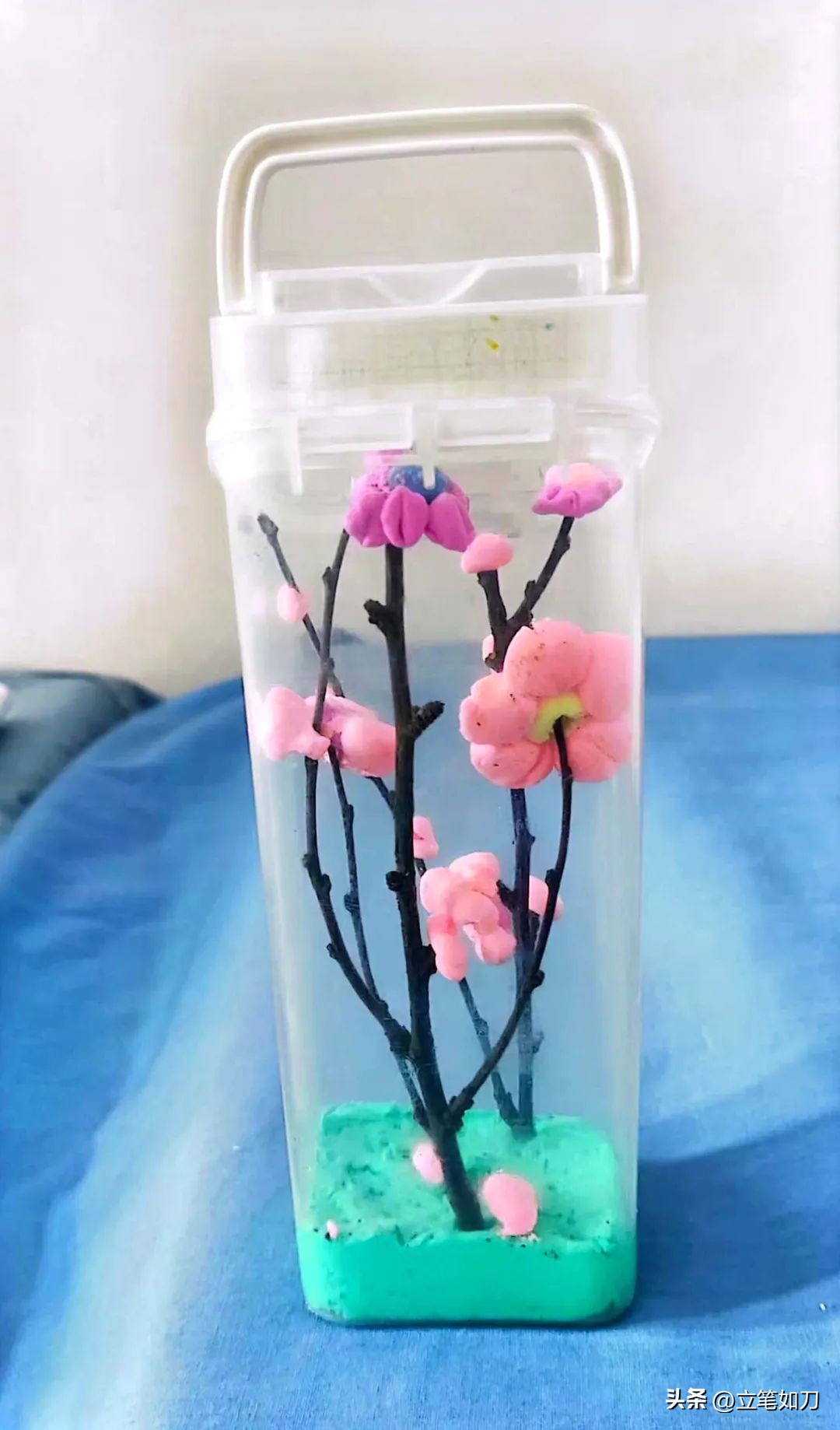 沈阳于洪造化中心校,于洪造化中心校