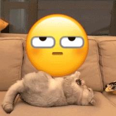 五一假期做什么小生意,五一假期做点什么小生意好