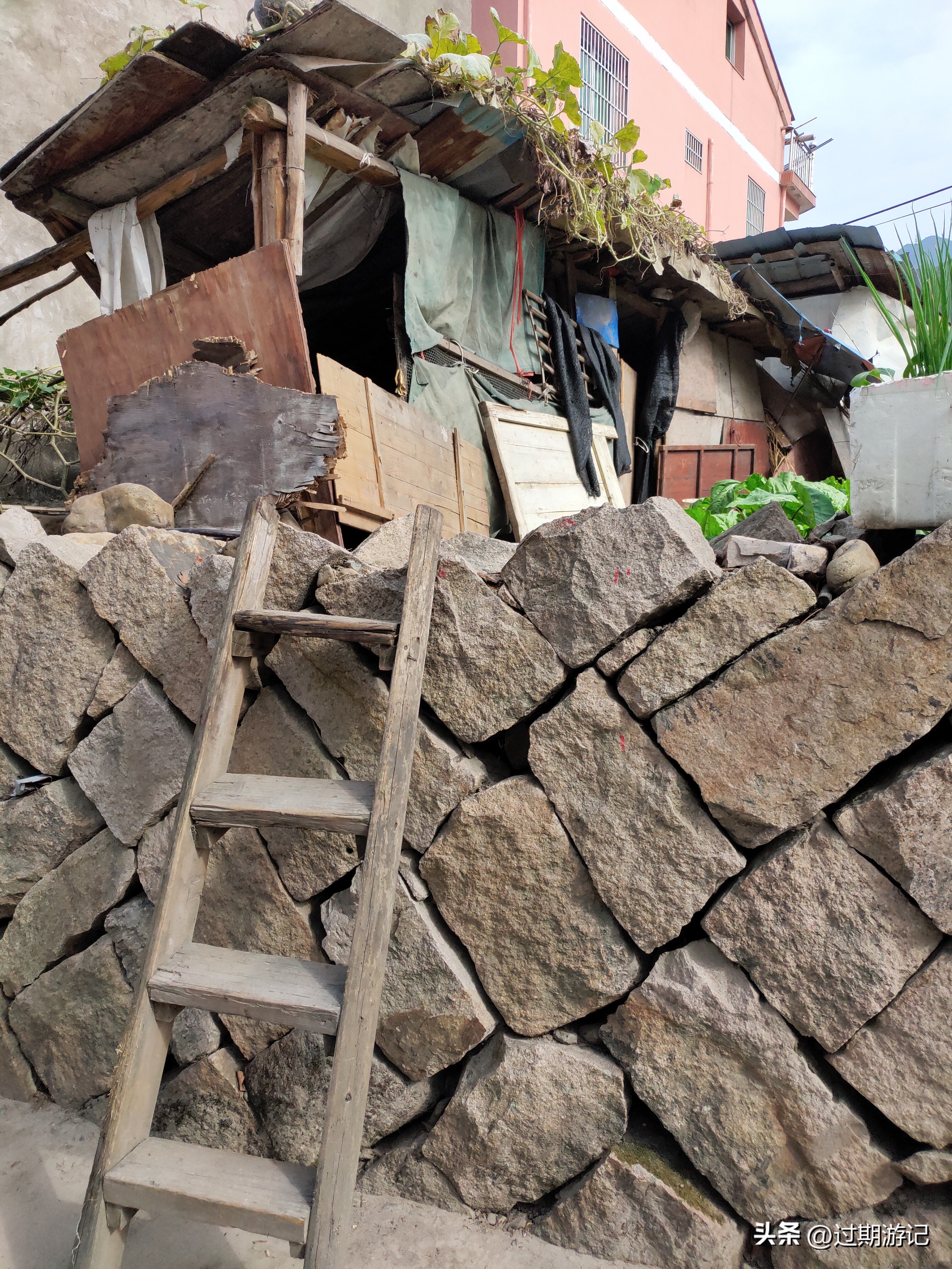 青田县旅游必买的东西,侨乡青田旅游的好选择