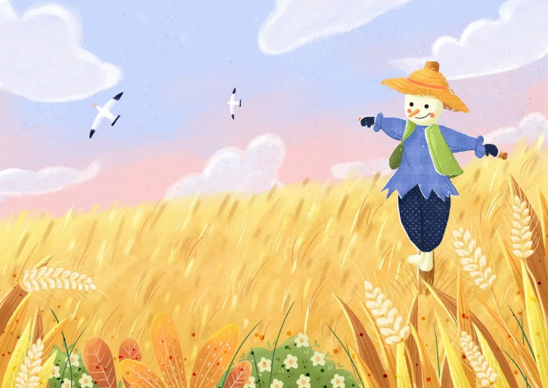 关于芒种的诗句的短视频,芒种原创古诗视频