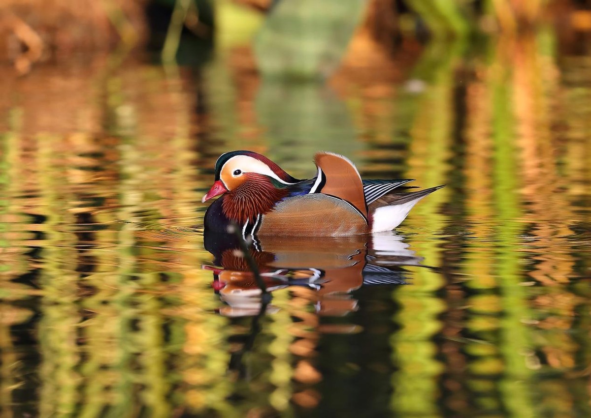 全州县天湖风光图片,桂林全州天湖旅游风光摄影