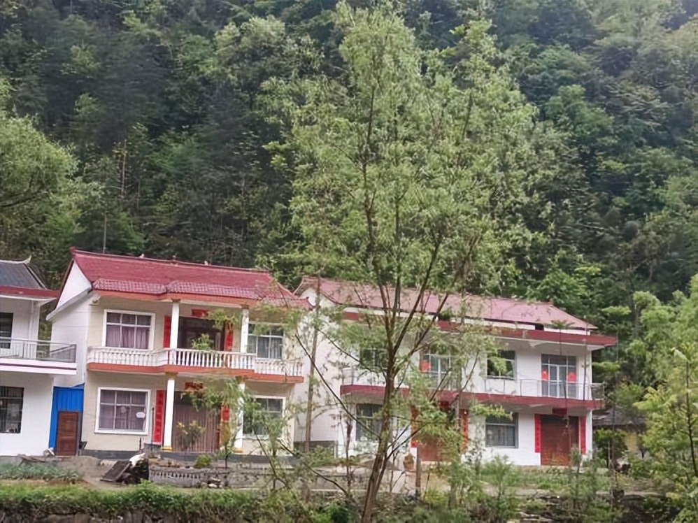 镇安茅坪美景绘画,陕西省镇安县茅坪回族镇峰景村