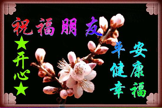 海浪花文艺,海浪花作品