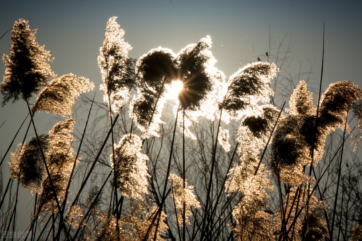 寓言小故事大道理感悟人生,一则通俗易懂的寓言故事