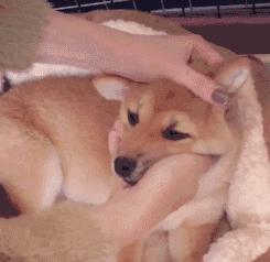 中国人下南洋如何白手起家,白手起家的人特征