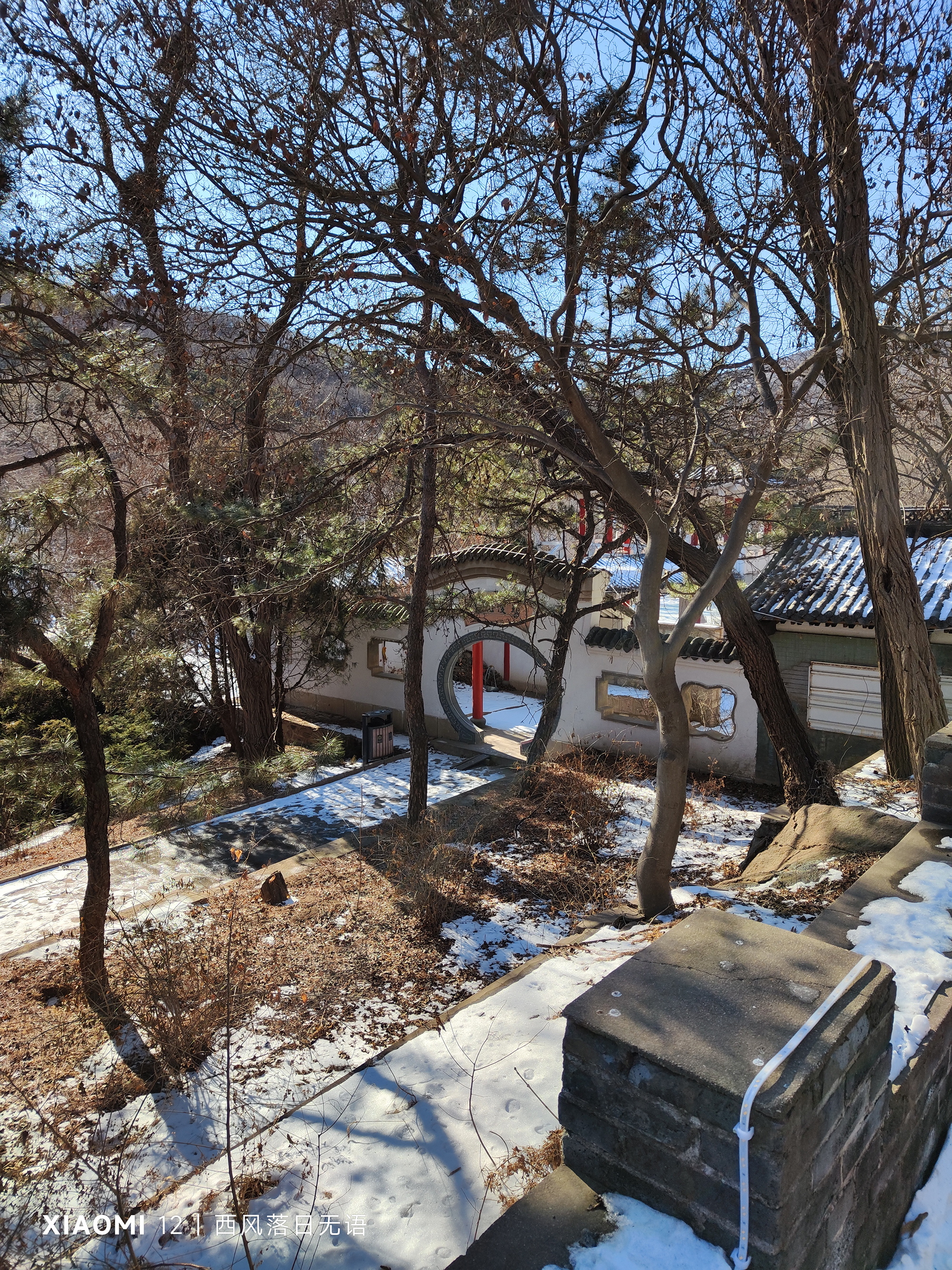 小米12哪一款更值得入手,小米12还值得入手么最新