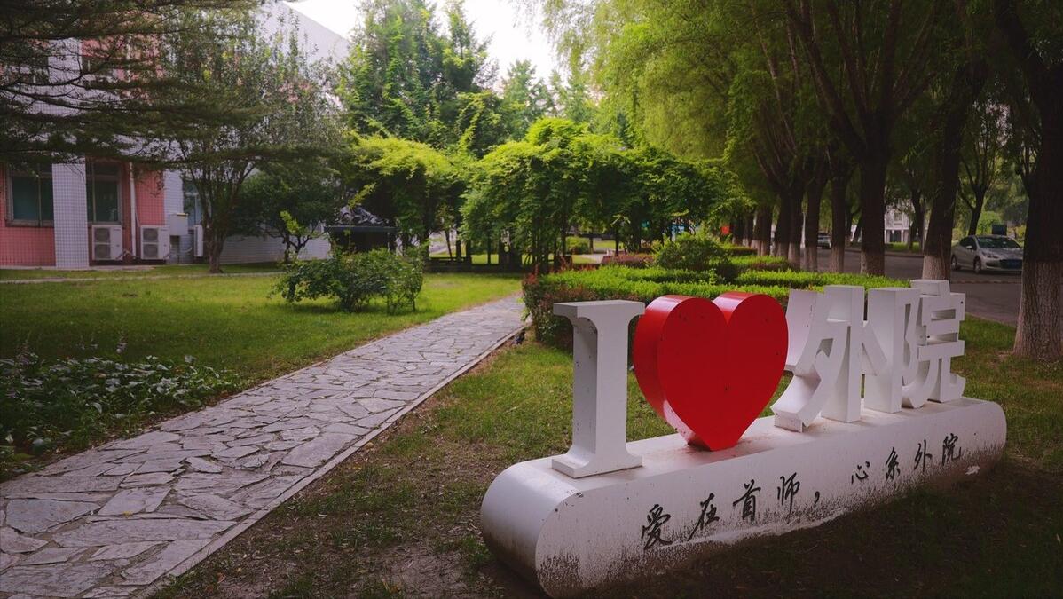 考首都师范大学去河北工作可以吗,上河北师大出来可以当老师吗