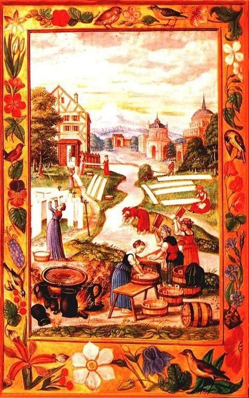 关于十六世纪至二十世纪，卡塔赫纳的肥皂工业