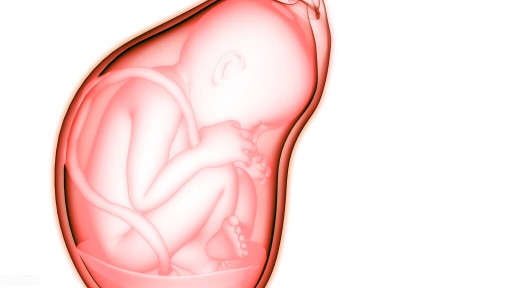 胎儿是怎样排泄粪便,未出生婴儿在妈妈肚子里怎么呼吸