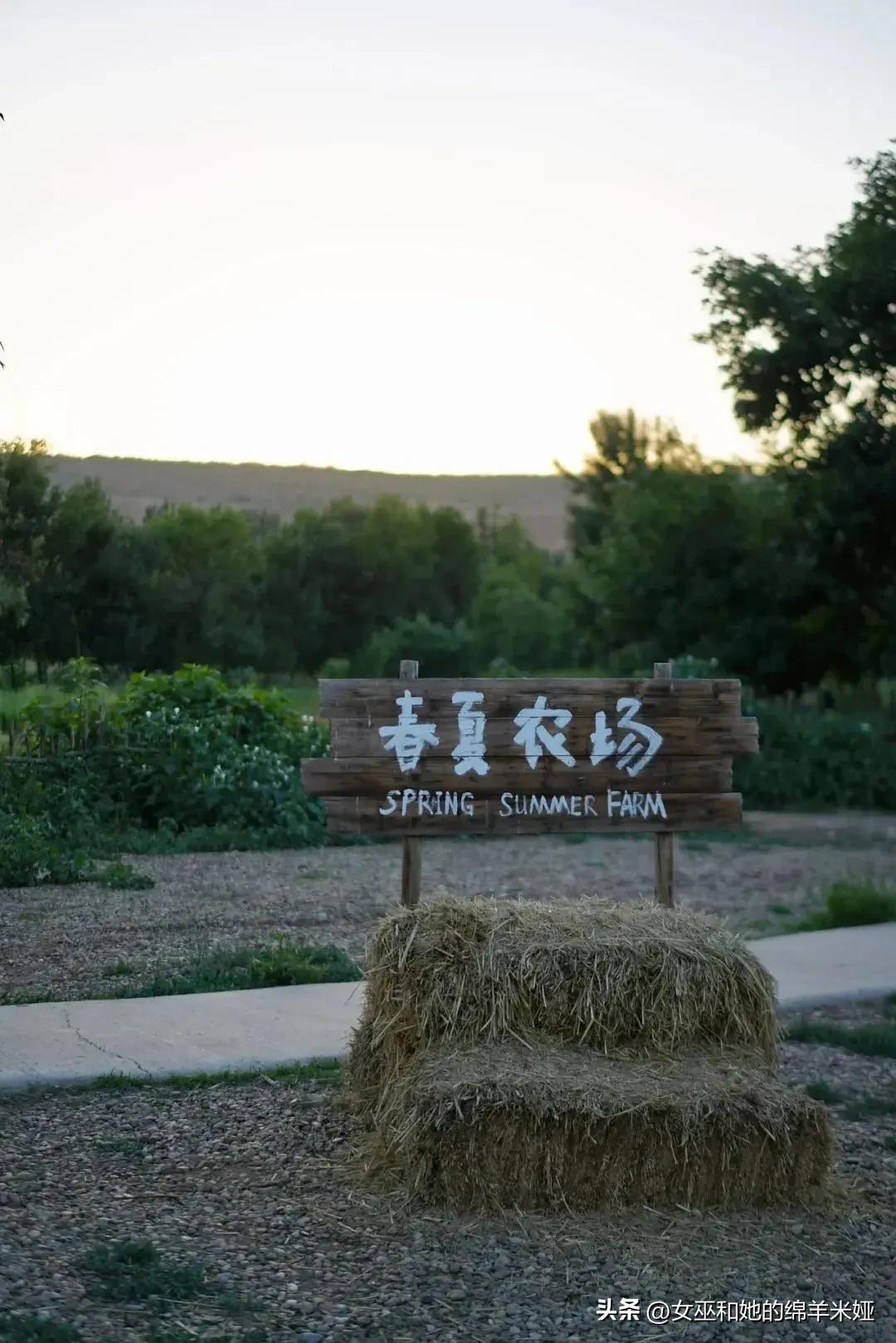 探索中卫／不止是旅行，也是生活