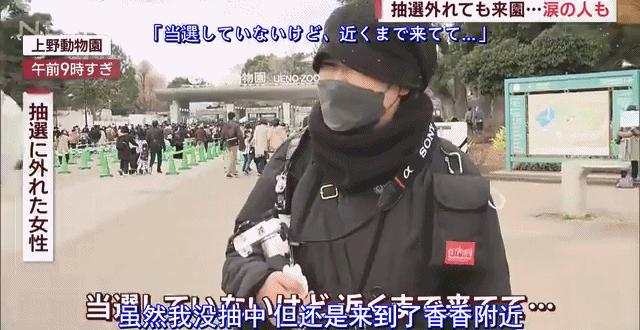 旅日大熊猫回国日本人反应,四只旅日大熊猫陆续归国