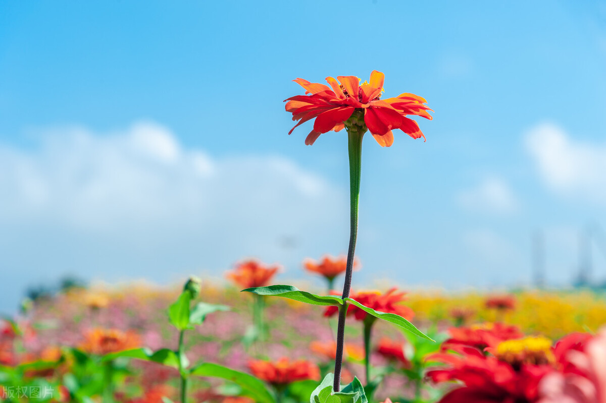男人爱不爱一个女人，看她的“穿着”便知