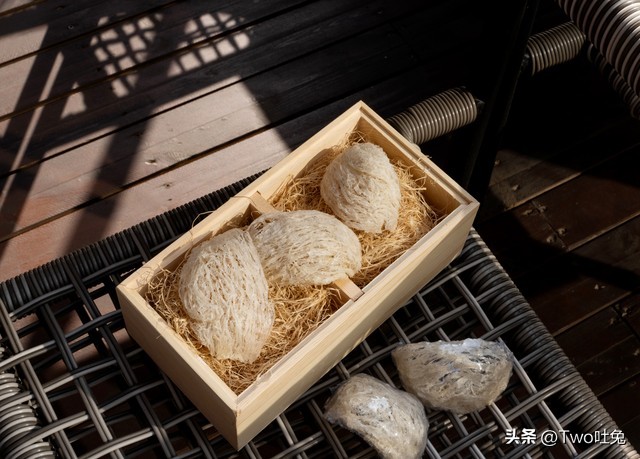 与燕窝类似的滋补佳品,燕窝是滋补佳品三类人不能吃