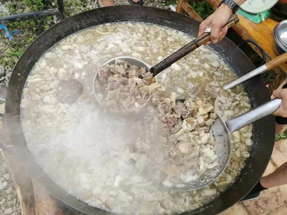 【轿子山文化旅游节】云南·禄劝2023年轿子山文化旅游节最全攻略来啦（图文版）！