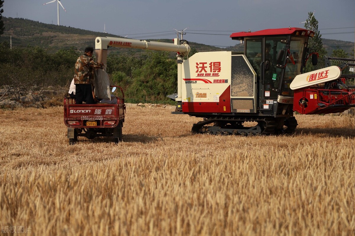 2022年沃得锐龙轮式收割机,沃得超级锐龙140马力履带式收割机