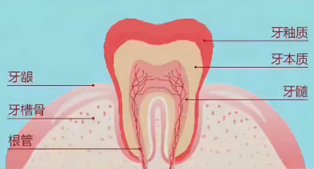 牙齿感觉冷是牙本质出现问题了吗,天冷牙就疼怎么解决
