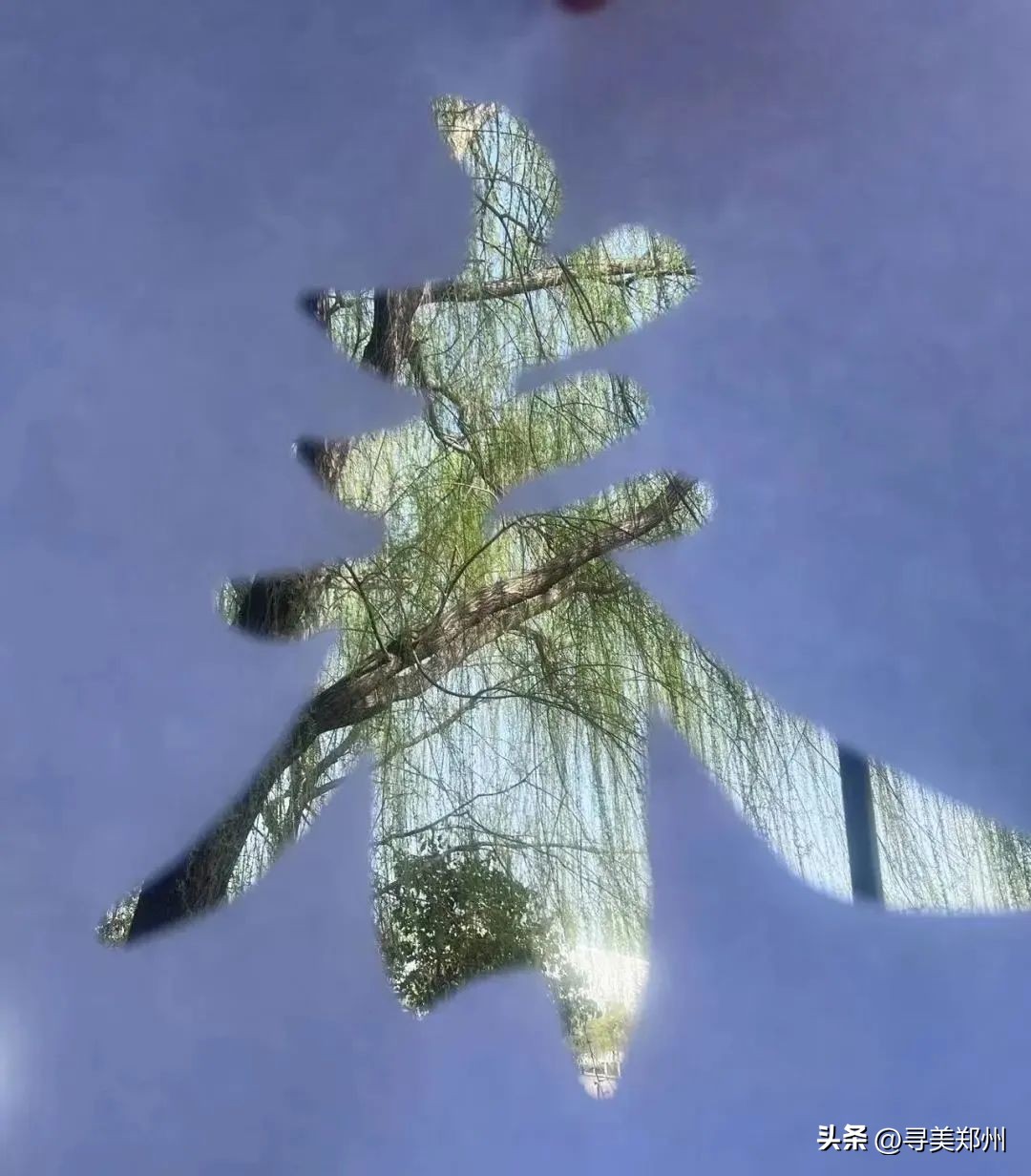 河南科技大学春景,河南科技职业大学校园春景