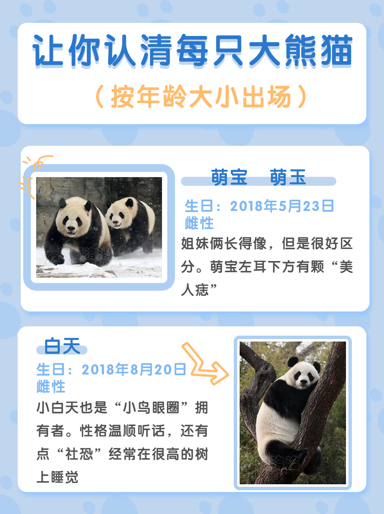 长隆野生动物园行李可以寄存的吗,淹城野生动物园能不能寄存行李