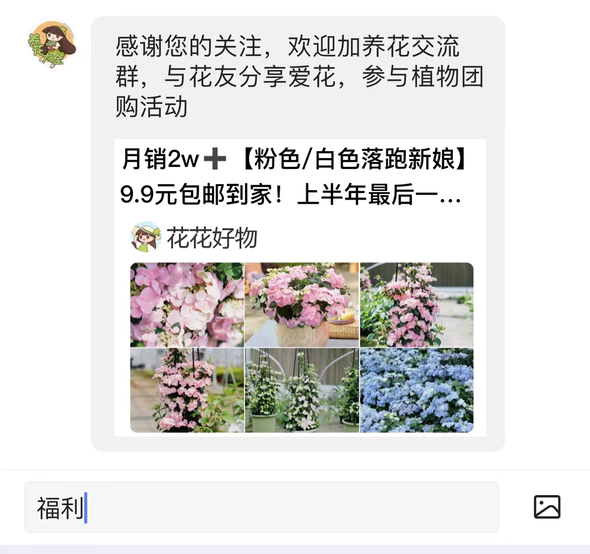 玉簪花怎么养最好,玉簪花怎样养才能开花