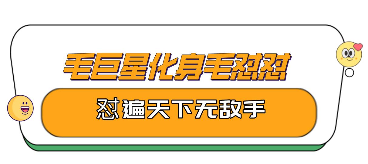 毛不易薛之谦怼人名场面合集,薛之谦毛不易才华战胜资本的故事