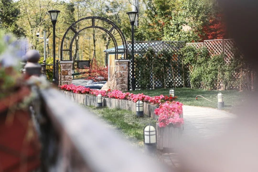 江浙沪附近避暑民宿,夏天莫干山性价比民宿推荐