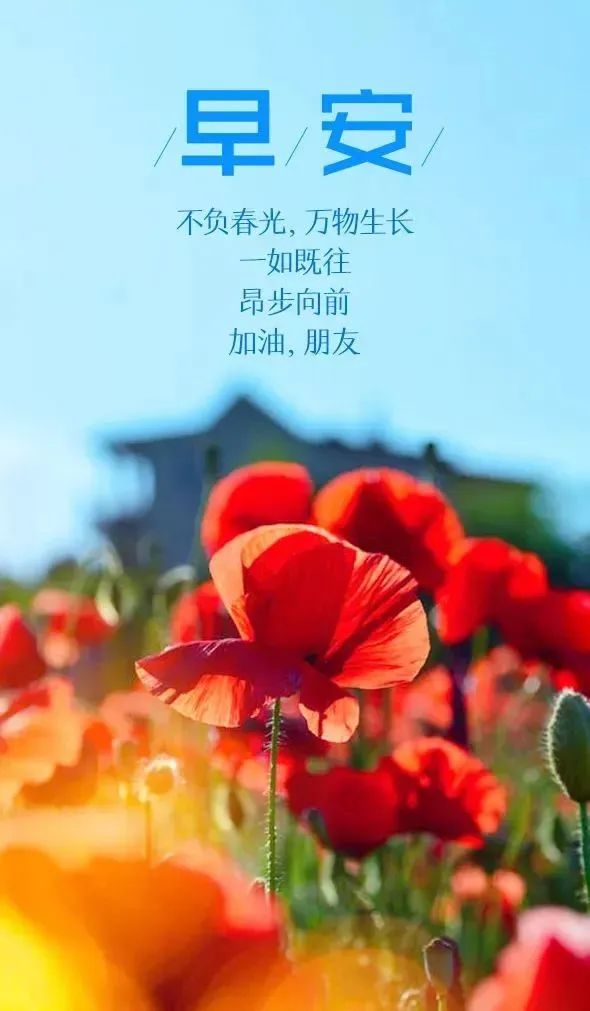 2020早安心语正能量简单一句话,早安心语经典语录简短图片