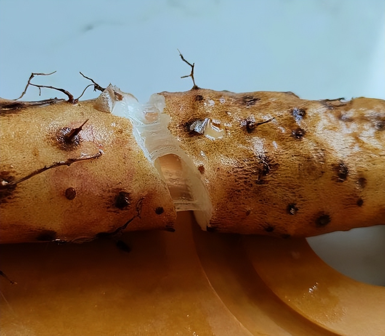 山药紫薯奶香小馒头给孩子吃,山药小馒头孩子一口一个吃不够