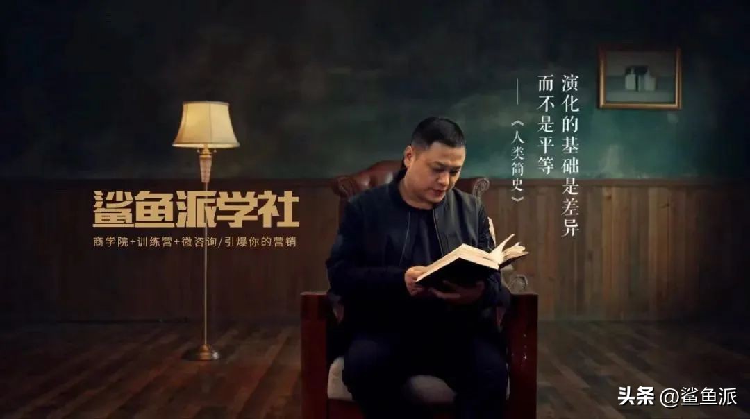 鲨鱼哥如何逆袭,鲨鱼哥深度解析