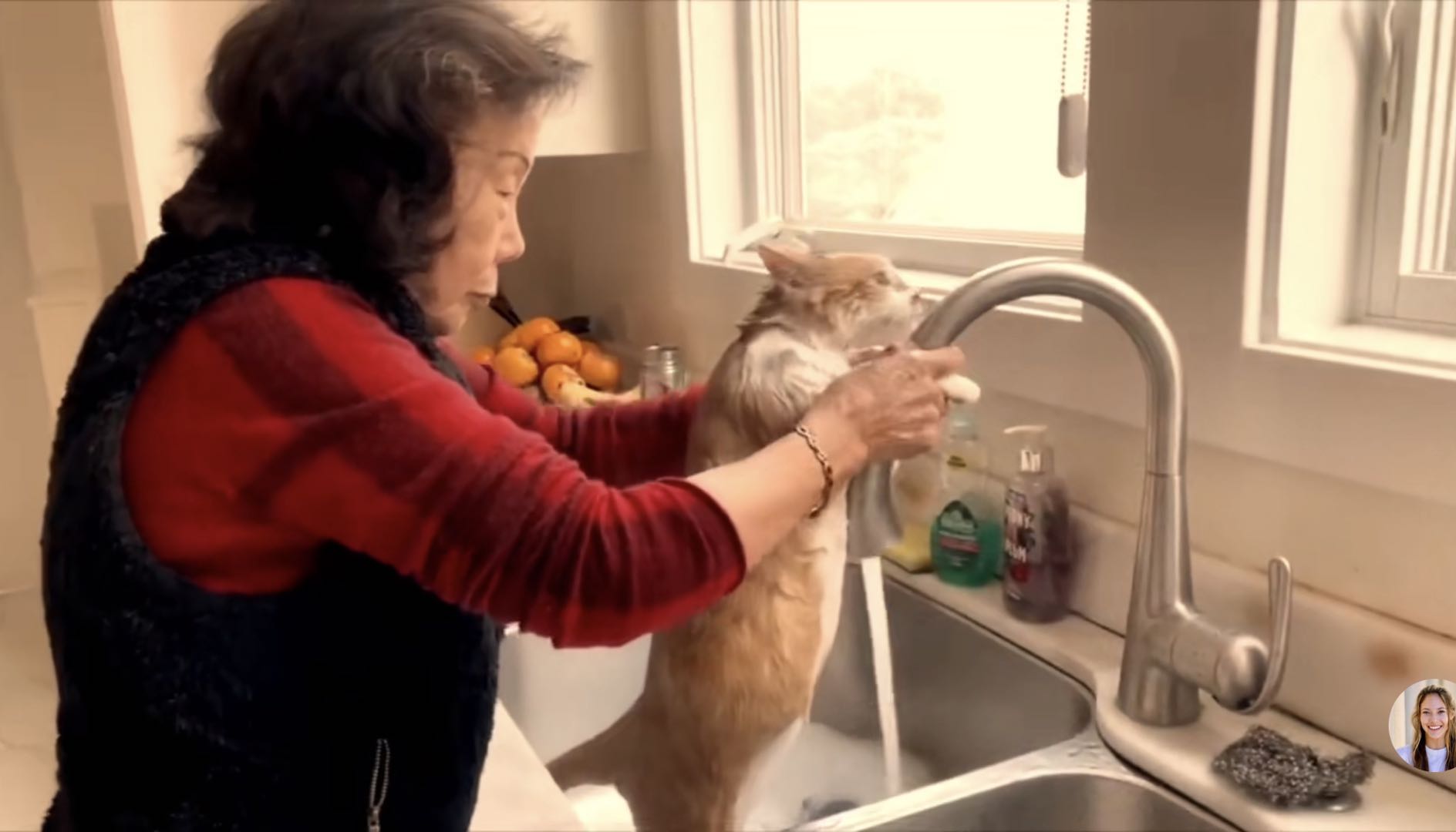 谷爱凌旧金山别墅,谷爱凌豪宅地址