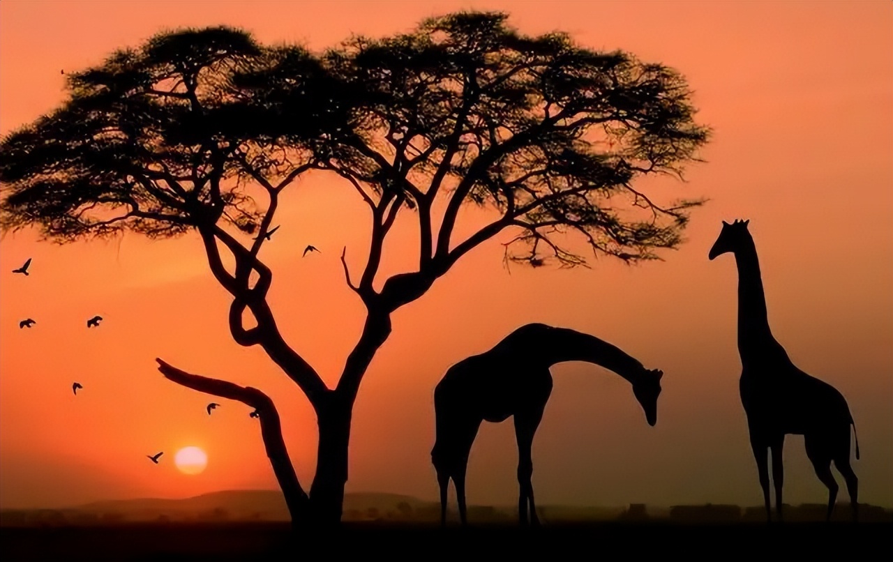 43岁芬兰女硕士卖房裸辞只身游历非洲,所见所闻充满惊险