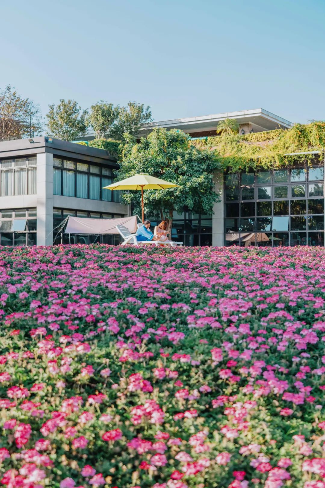 昆明周边神仙秘境,藏在昆明市内的神仙秘境