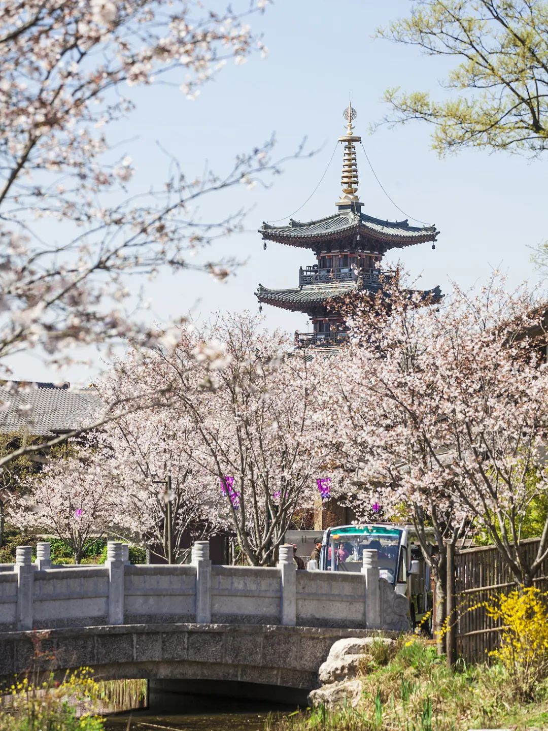 梦华录破亿预告片,刘亦菲梦华录在哪里