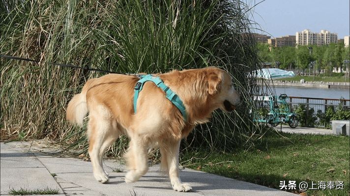 宜良露营的好去处网红打卡,五台山附近网红露营打卡地