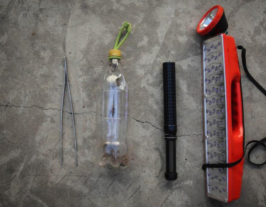 疯狂蝎子,最大蝎子到底有多可怕