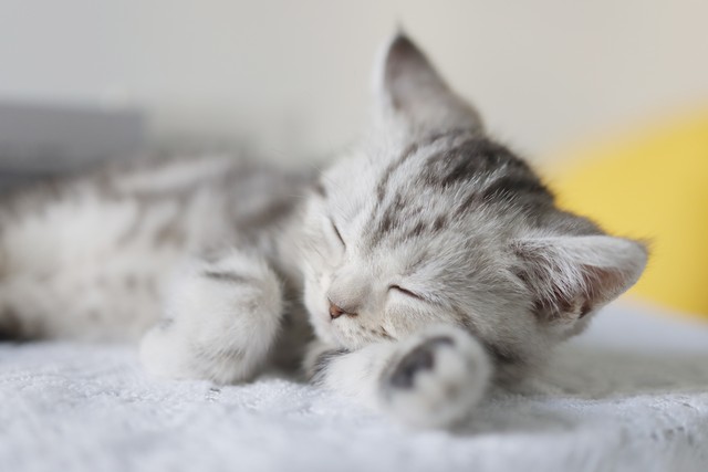 物理量子纠缠和现实有什么关系,量子纠缠是怎样的现象