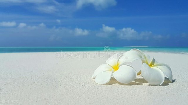 写给女孩子的六条人生建议,99条简单实在的人生建议