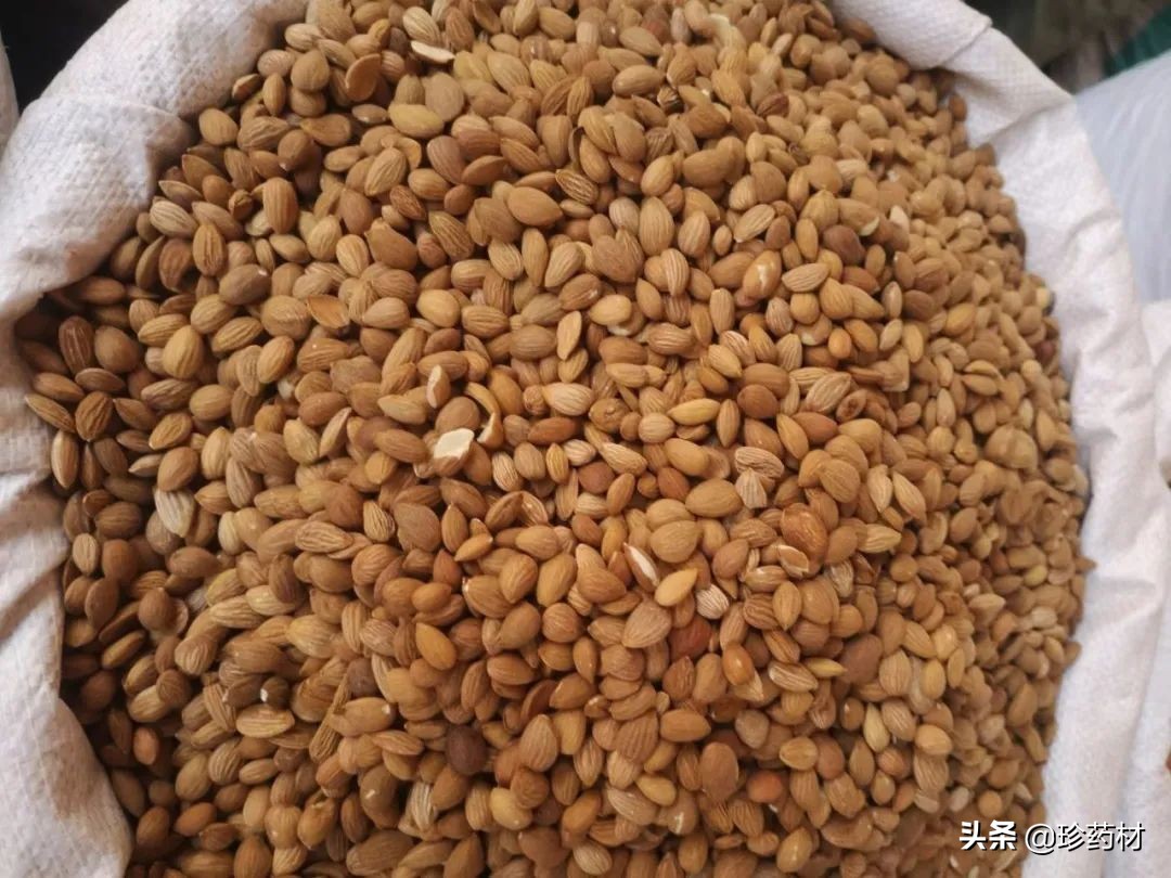 中药材交易市场最新报价木香,中药材网最新行情