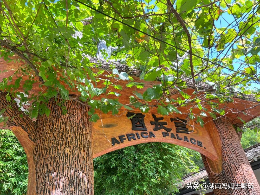 出发!长沙家门口的“非洲遛娃乐园”,小朋友最喜欢的长沙乐园!