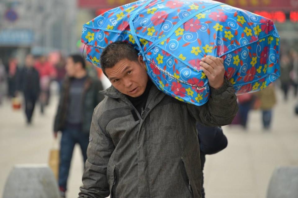 小伙养鹅养鸡上千只大鹅全卖了,养鹅被大雁带走2000只