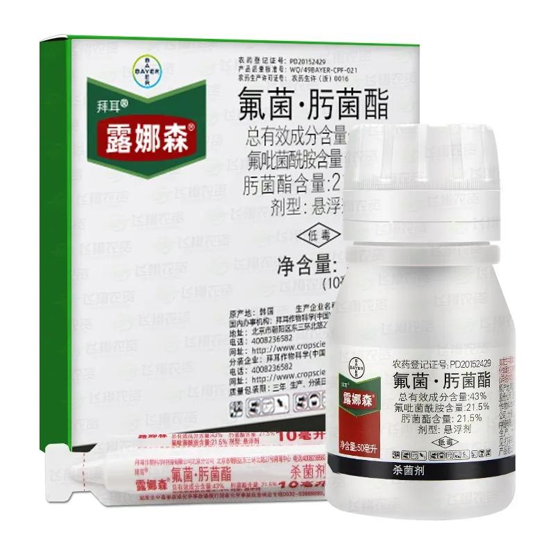 月季黑斑病最有效的方法,月季黑斑病的原因及处理