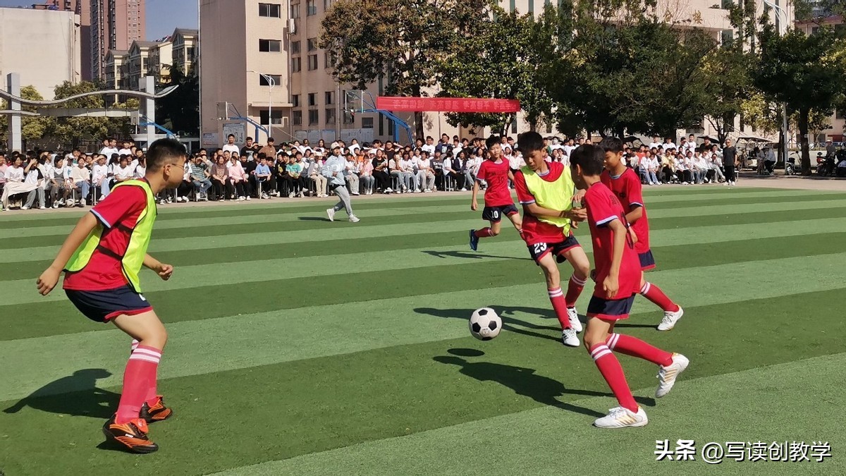 社团风采展主题简短,硕果盈枝香满园