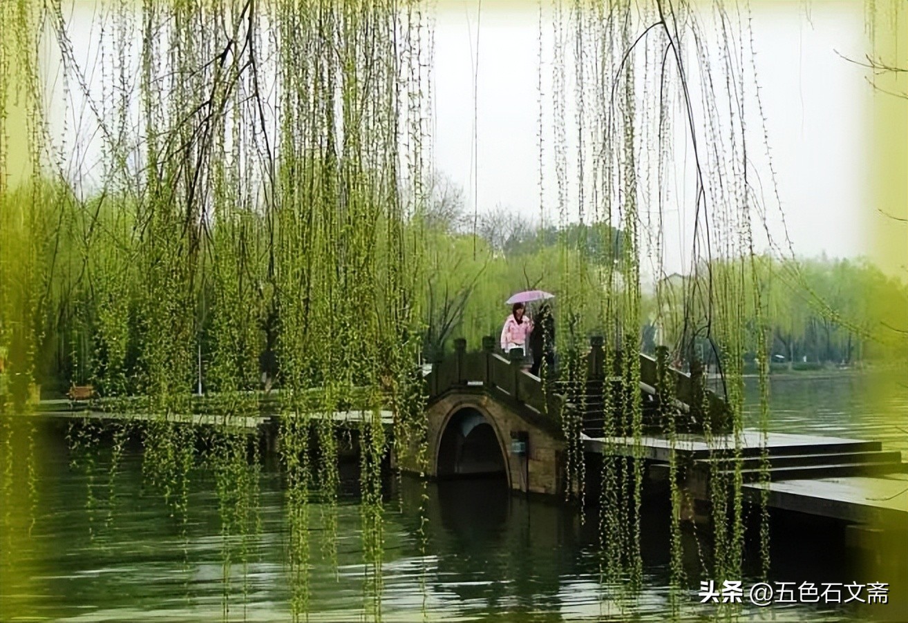 为何不能称呼女士为小姐,女士与小姐在称呼中的区别是什么